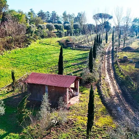 Escape To Comfort, Relax, And In Rome - Luxury 5 *